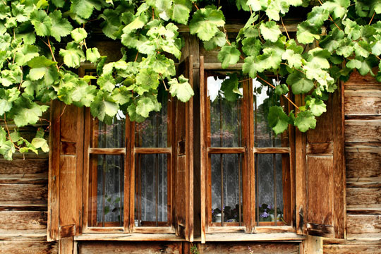 Fenster